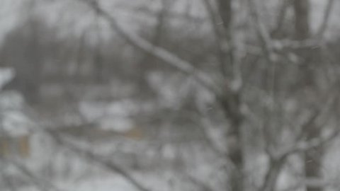 snow slowly falls on a blurred background