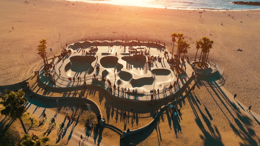 Venice Beach Skate Park with the Ocean View Palm Trees in Los Angeles