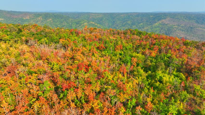 Behold the enchanting dry dipterocarp forest in Thailand, a captivating sight from above, where nature