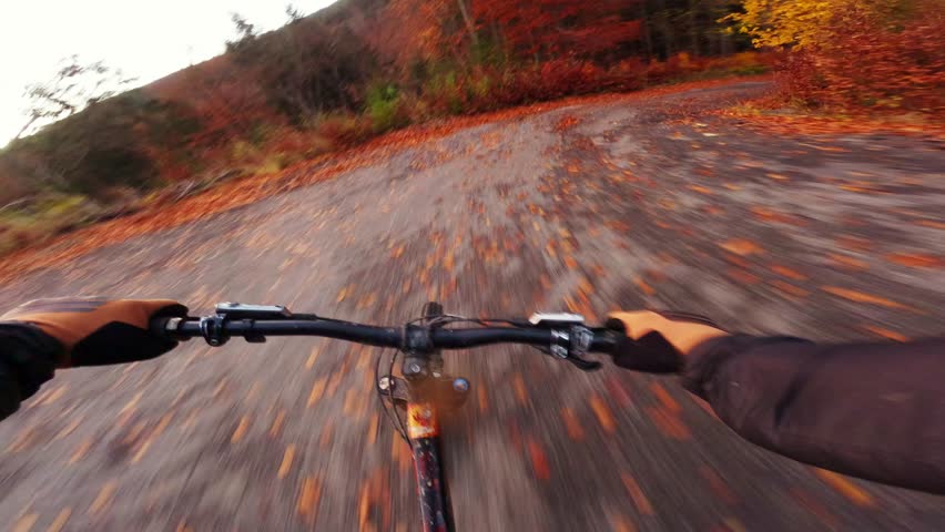 Fast MTB bike ride in the autumn forest at dusk. Downhill mountain biking on the road.POV