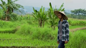 Young Farmer or peasant to walk at ridge with green young seedlings of paddy rice field with sunlight background at the agriculture rural of Indonesia