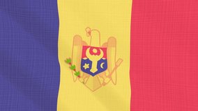 Moldova flag waving in the wind. Background with rough textile texture. Animation loop. Element for web site, presentation, import into video.