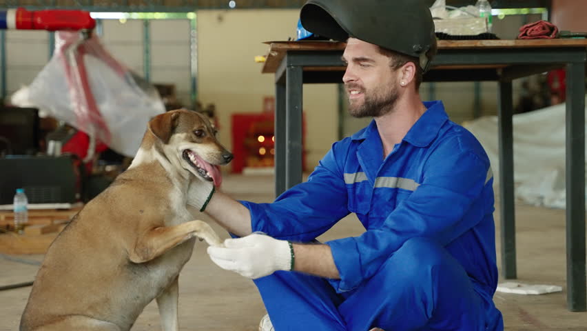 Workers are sitting and playing with a dog inside the factory to relax and relieve stress during a break.