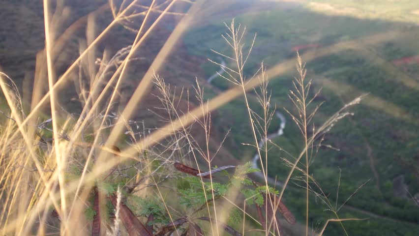 Waimea Canyon in Kauai, Hawaii
