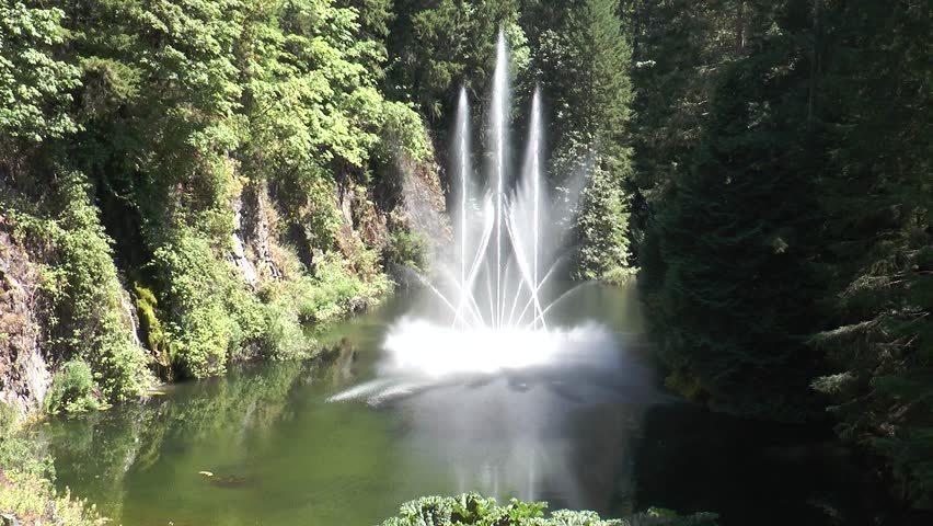Dancing fountain. Beautiful fountains in Butchart Garden. Canada. The famous gardens of Butchert on Victoria Island. Victoria. British Columbia.