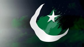 Pakistan National flag waving background video 14 August and 23rd march