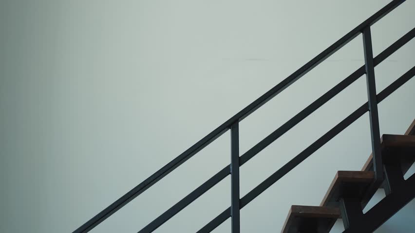 a woman with a dog in her arms goes down the stairs of a house, followed by her daughter