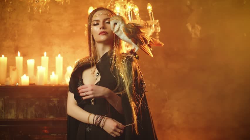 Art video portrait real person fantasy gothic woman hand stroking touching white barn owl bird sitting on shoulder. lady Elf Blonde hair sexy girl with tamed bird. dark room black dress candles light.