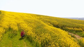 High angle view of Caucasian redhead man crouching in mustard field. He is looking at plants 4k - Powered by Shutterstock - Get 15% off with code: PIKWIZARD15