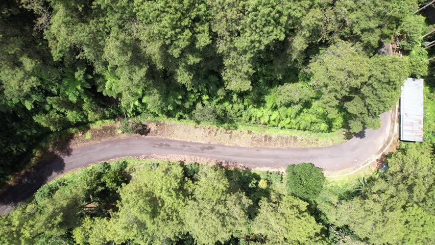top-down view of the road in the middle of the forest passed by motorbikes