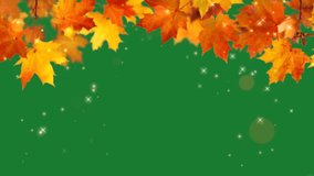 Autumn maple leaves falling on green screen, I have Too much Animation and animation with high Resolution and Good quality. Ultra-high Definition 4k video. 