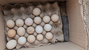 Chicken eggs in a cardboard box. Fresh raw eggs in a paper egg container. A man's hand takes an egg from the package 4k clip
