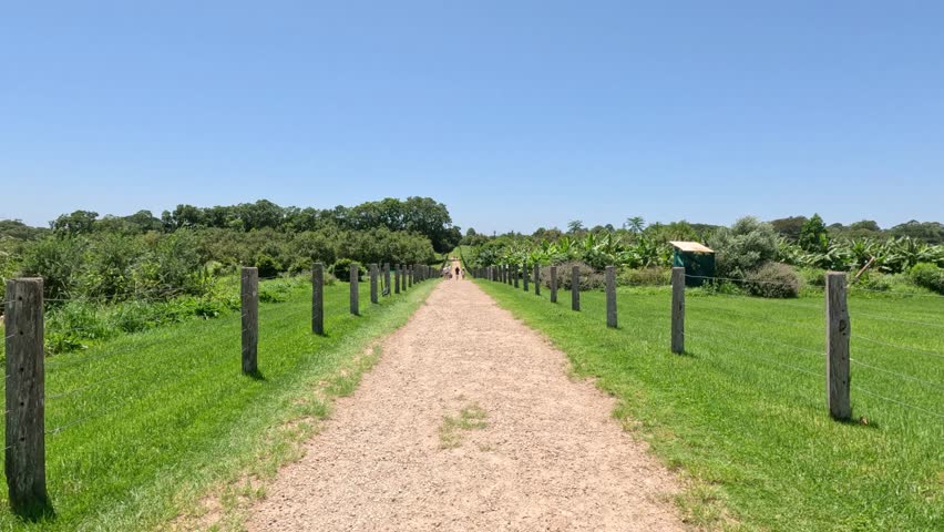 Progression along a straight, fenced gravel path