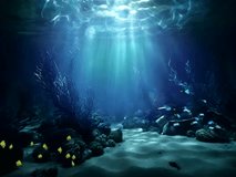 underwater scene with reef and underwater. various fish. seamless looping time-lapse virtual 4K video animation background