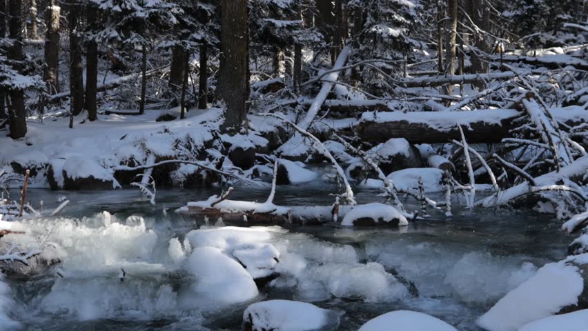 frozen creek stream on the winter mountain forest