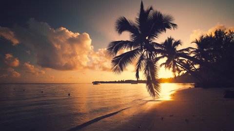 Landscape of tropical island beach and palm tree silhouettes, Punta Cana Dominican Republic