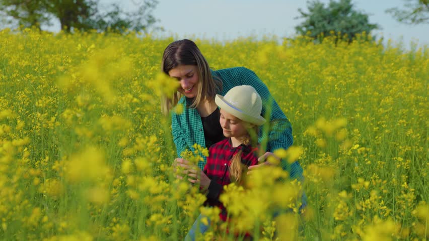 farmer family scene of mom and toddler girl inspect the rapeseed crop. Happy mother and kid with hat embracing, smiling. family working on their farm. Royalty-Free Stock Footage #3440239967
