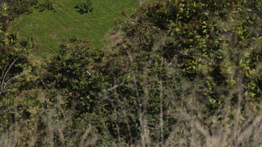 Los Angeles Skyline with Mountains, Tilt Up - 23.98fps