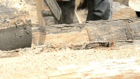 Slow-Mo: Logger Limbing A Tree Hard work harvesting firewood on a farm in the village. agriculture deforestation environmental trees background 4K UHD