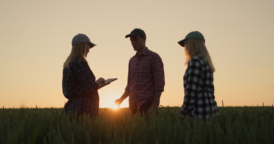 Shutterstock Video