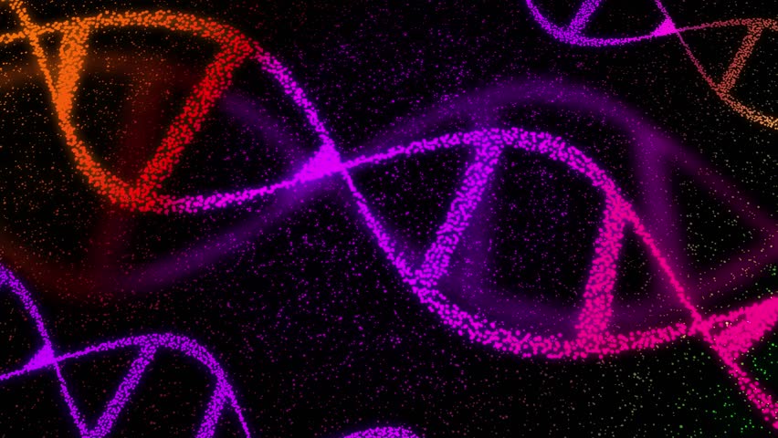Deoxyribonucleic acid and molecular plexus abstract shape on the dark background. DNA helix 3d animation and gene expression rotation animation.