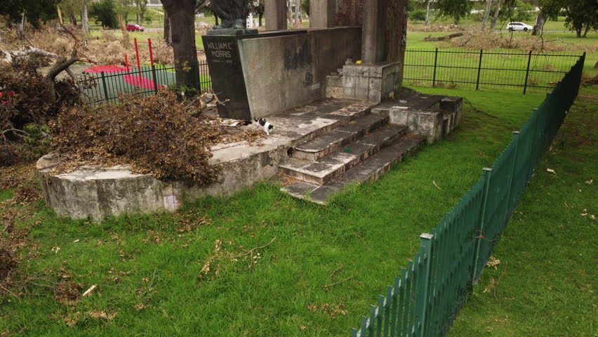 A homeless black and white cat climbs into a hole between the steps of the monument