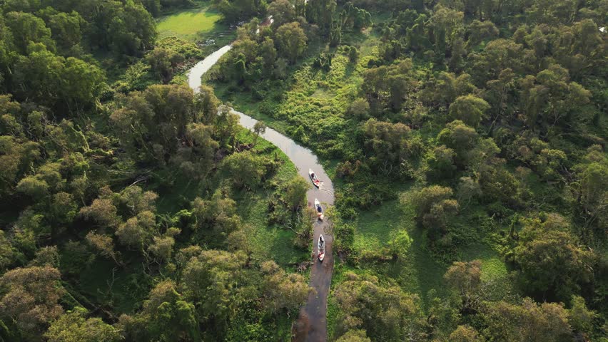 Aerial view 4k of Boats Exploring Tra Su Nature Reserve, Vietnam