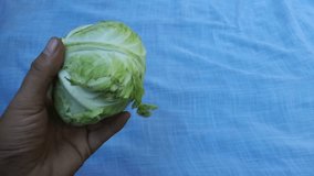 Cabbage being examined by a man is conceptualized on a white background. Fresh vegetables from Asia - Indonesia