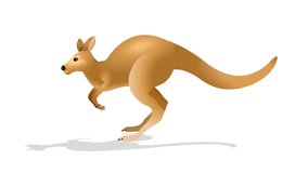 Kangaroo Run cycle animation, loop animation sequence with green screen