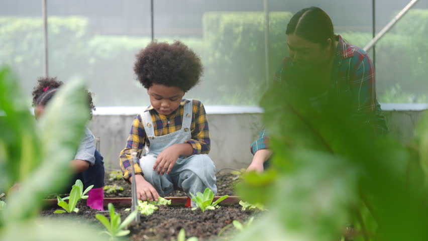 Happy African farmer family on agriculture farm growing organic vegetable together in greenhouse garden. Parents and little child kid working nature and gardening healthy food for sustainable living.