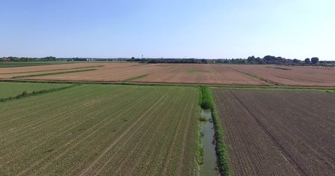 aerial view over wheat fields in the province of Mantova. You can also see birds taking flight 