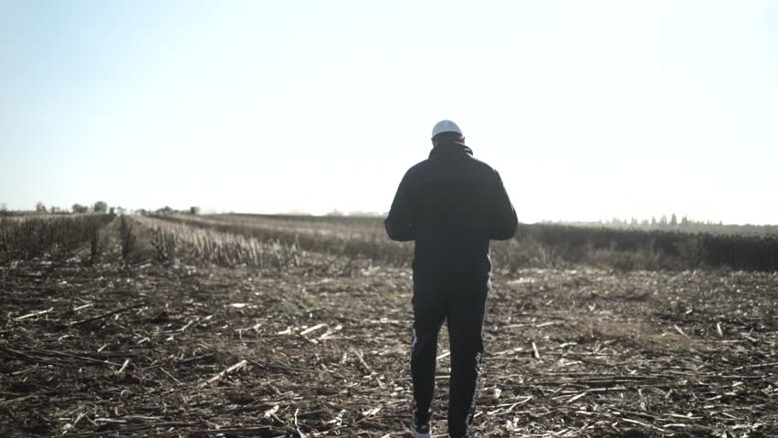 Farmer on the field inspecting sunflower and soil	