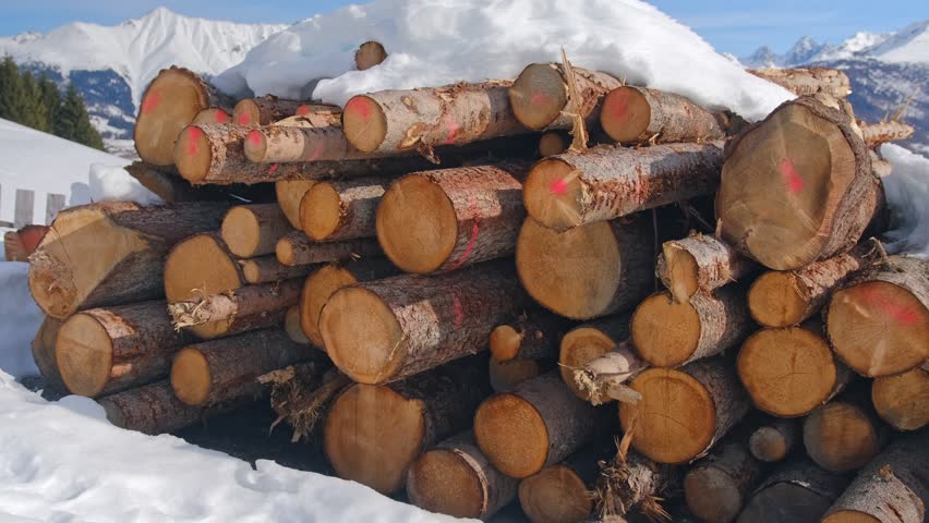 Healthy Tree Wood Logs Stored Outdoors During Winter Season in Austrian Alp Mountain Village