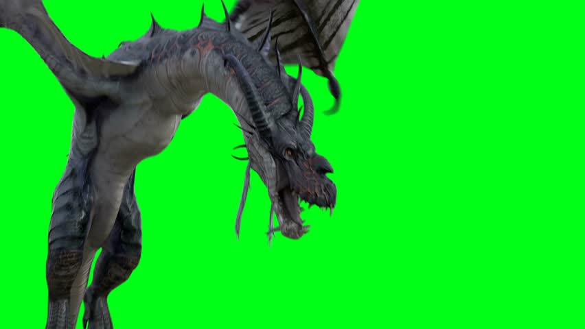 flying horror dragon. Fantasy concept. 4K green screen isolate
