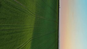 Aerial view of amazing wavy hills with agricultural fields at sunset. South Moravia region, Czech Republic, Europe. Vertical video
