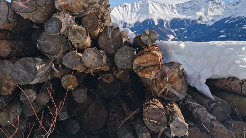 Healthy Tree Wood Logs Stored Outdoors During Winter Season in Austrian Alp Mountain Village