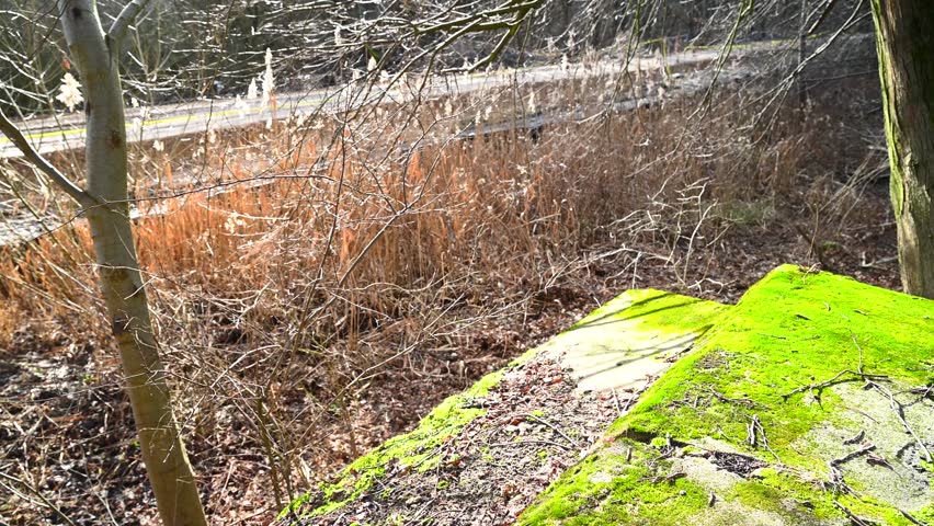 Steel rusty old vintage radio mast base structure in moss covered concrete foundation
