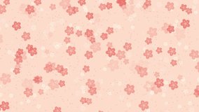 Abstract floral pattern motion background with animated pink sakura flowers cherry blossoms falling against pale peach backdrop. Elegant pastel color animation for asian or springtime concept.