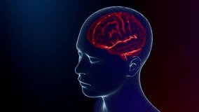 Brain in holographic human body. Artificial intelligence concept background. Can be used in background elements related to technology, science, communication or social media. 3D Render. - Powered by Shutterstock - Get 15% off with code: PIKWIZARD15