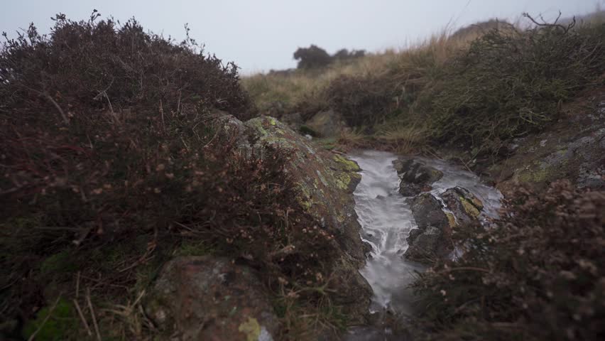 A misty outdoor scene with a person walking past ice frozen on a rock