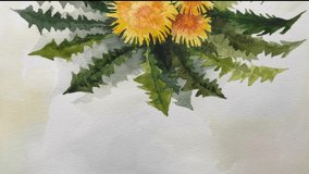 Close up view painting aquarelle watercolor floral art video. Dandelion flowers. Full HD