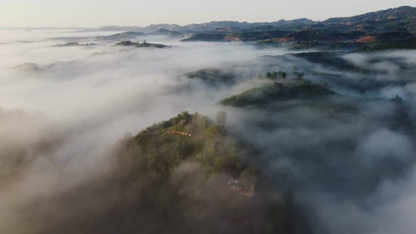 Foggy landscape tropical rain forest 