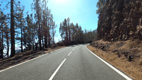 Driving along the road along the forest. POV shot from a camera driving through beautiful empty road. Concept of transport and driving point of view. Mountain travel journey. Trees and sky in nature