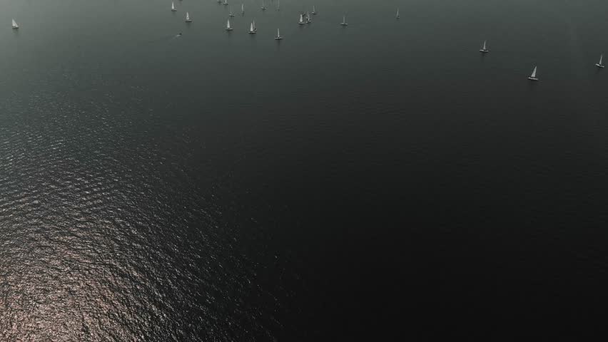 Sunshine peers through the fog on Lake Constance as sloops race  Royalty-Free Stock Footage #3442229935
