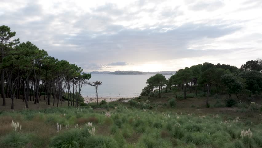 Forest clearing leads to Playa De Somo beach in Santander Spain with bathers, Aerial dolly in shot