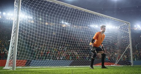 Soccer goalkeeper jumps and catches balll on a professional soccer stadium. Stadium and crowd is made in 3D and animated Video Stok