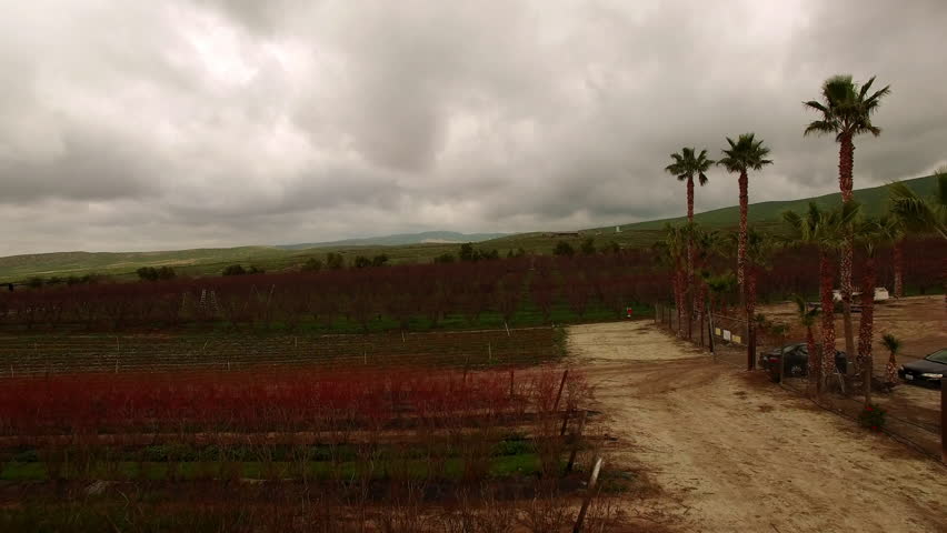Aerial: Drone Forward Scenic Shot Of Dry Plants In Agricultural Field Under Cloudy Sky - Bakersfield, California