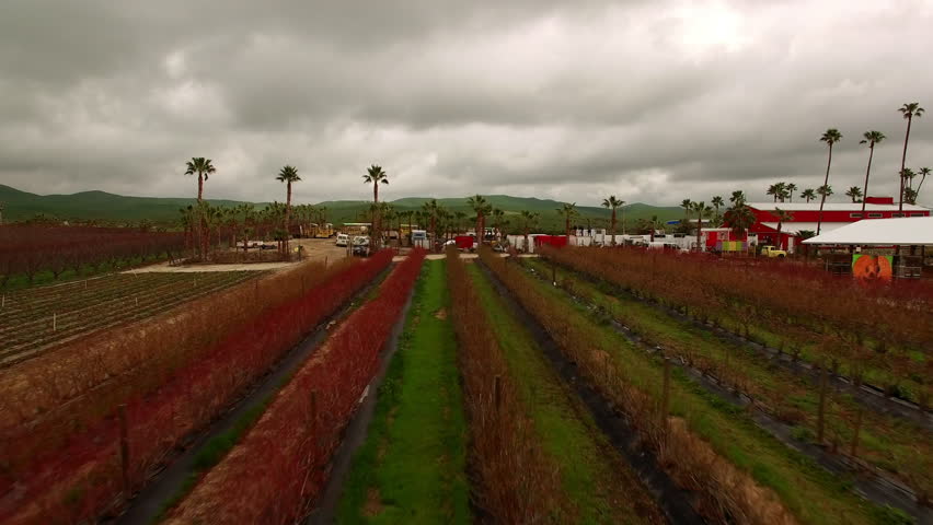 Aerial: Drone Forward Beautiful Shot Of Dry Agricultural Field On Hills Under Cloudy Sky - Bakersfield, California