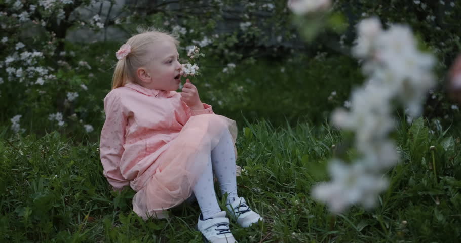 Cute little caucasian girl enjoying spring floral garden smelling flowers. Kid sits in the grass in flowering garden. Royalty-Free Stock Footage #3442484091