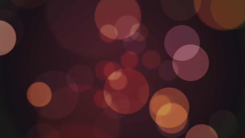 Shutterstock Video
